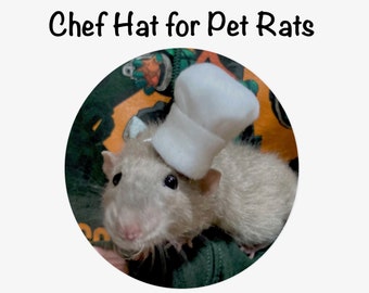 Sombrero de chef para rata mascota, múltiples colores y tamaños disponibles, idea de regalo de disfraz de mascota, lagarto, hámster, mascota pequeña, sombrero Remy inspirado en Ratatouille