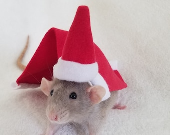 CooShou 4-teiliges Hamster-Outfit – Mini-Hüte & Herz-Bandanas Für Kleintiere Wie Ratten, Meerschweinchen, Eidechsen