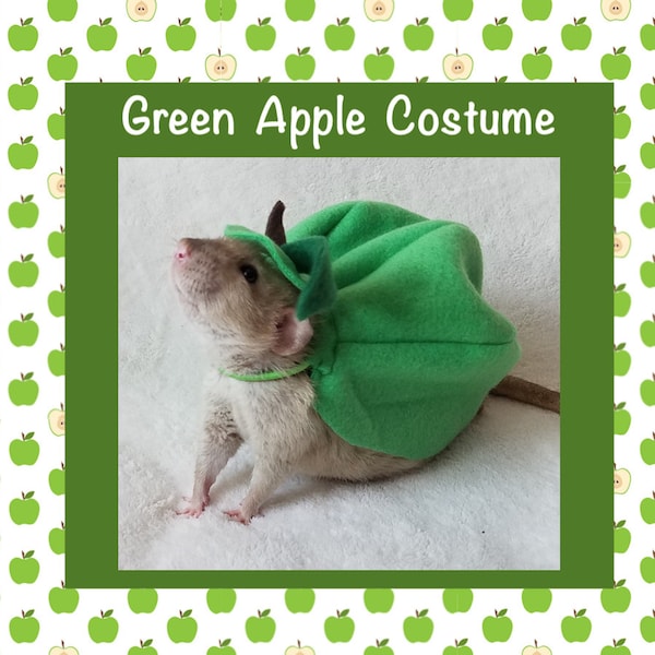 Costume da mela verde per ratti domestici, costume da compagnia con cibo per frutta, costume da ratto, carino