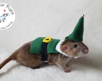 Elf Costume, Pet Costume for Rats, Santa Helper Rat - Available in Red or Green , CUSTOM Colors Upon Request via Direct Etsy Message