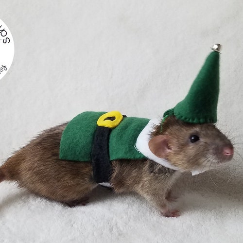 Pumpkin Costume for Pet Rats Halloween Pet Costume Rat Etsy