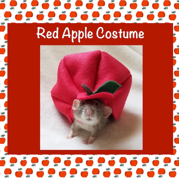 Costume da mela rossa per ratti domestici, costume da compagnia di Halloween, costume da ratto, carino