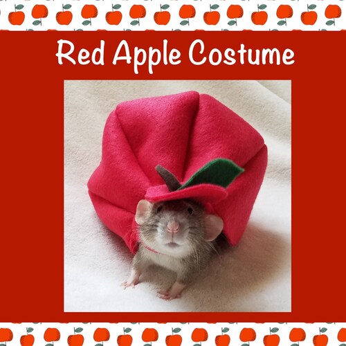 Pumpkin Costume for Pet Rats Halloween Pet Costume Rat Etsy
