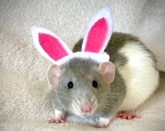 Bunny Ears for Pet Rat (Size Large, 10-12 cm) Perfect Easter Pet Costume Gift, Lizard Hamster Small Pet, CUSTOMIZABLE