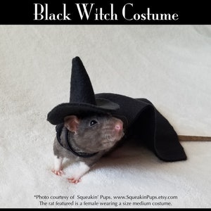 Black Witch Costume for Pet Rat, Multiple Sizes and Options Available, Pet Gift Idea, Perfect for Small Pets, Fast Shipping