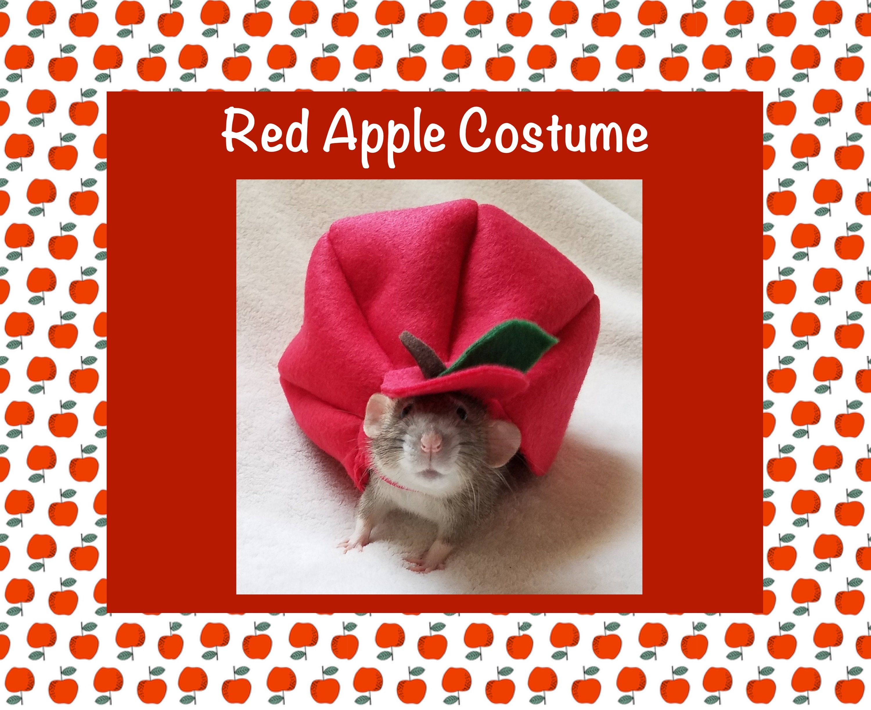 RATS　ラッツ　SOUVENIR CAP DOZENS　RED RATS ラッツ SOUVENIR CAP DOZENS RED - メルカリ