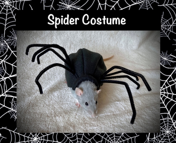 Dog black spider costume hotsell