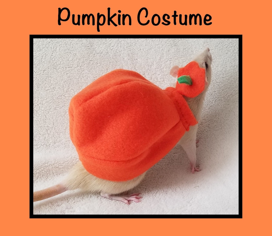 Pumpkin Costume for Pet Rats, Halloween Pet Costume, Rat Costume, Cute