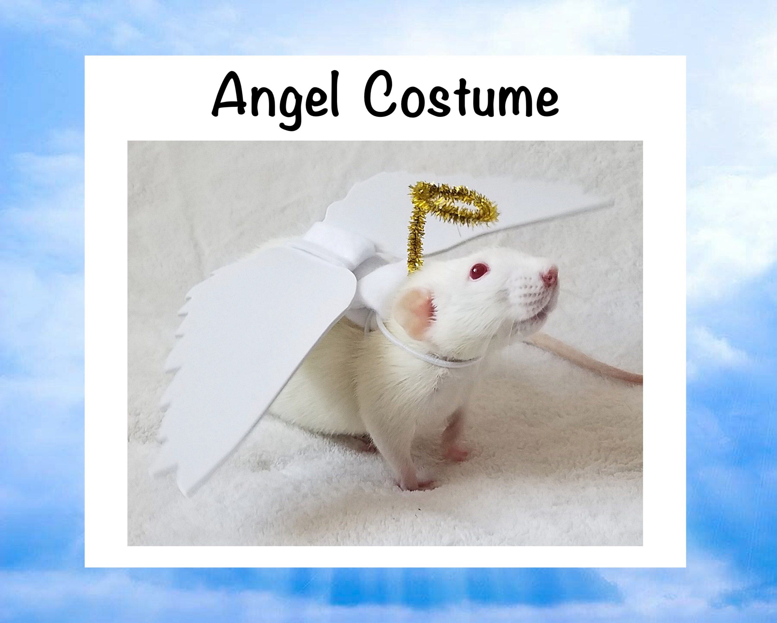Angel Costume for Rat from Petrats 