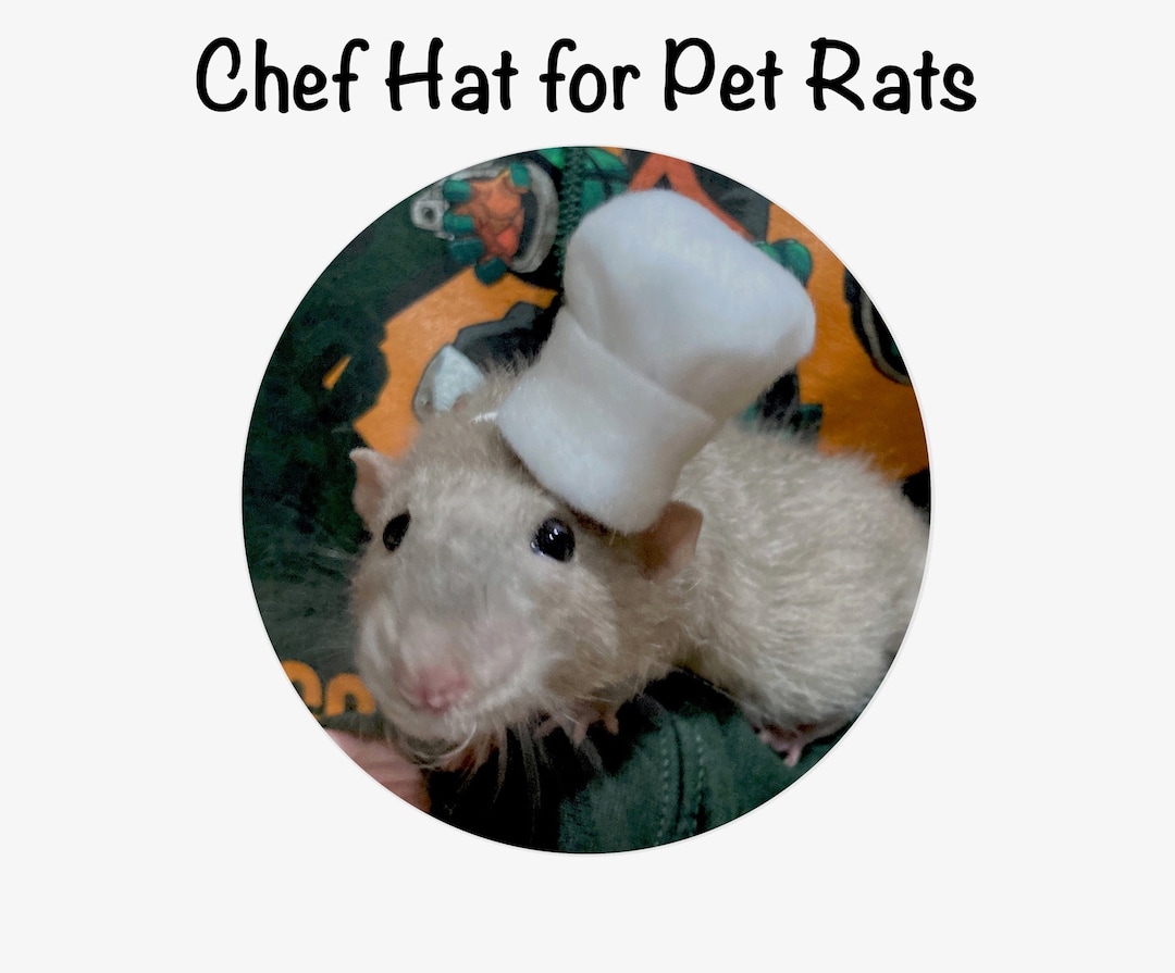 Chef Hat for Pet Rat, Multiple Colors and Sizes Available, Pet Costume
