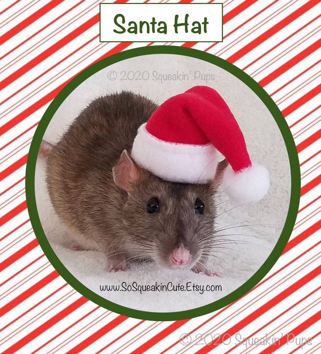Santa Hat for Pet Rat Perfect Christmas Pet Costume Gift