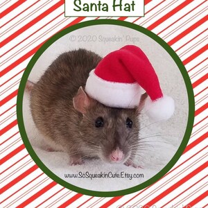 Peut inclure: Un rat brun portant un bonnet de Père Noël rouge et blanc. Le rat regarde la caméra. L'arrière-plan est un motif à rayures rouges et blanches.