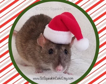 Santa Hat for Pet Rat Perfect Christmas Pet Costume Gift, Lizard, Hamster, Small Pet    PRIORITY SHIPPING AVAILABLE for faster delivery