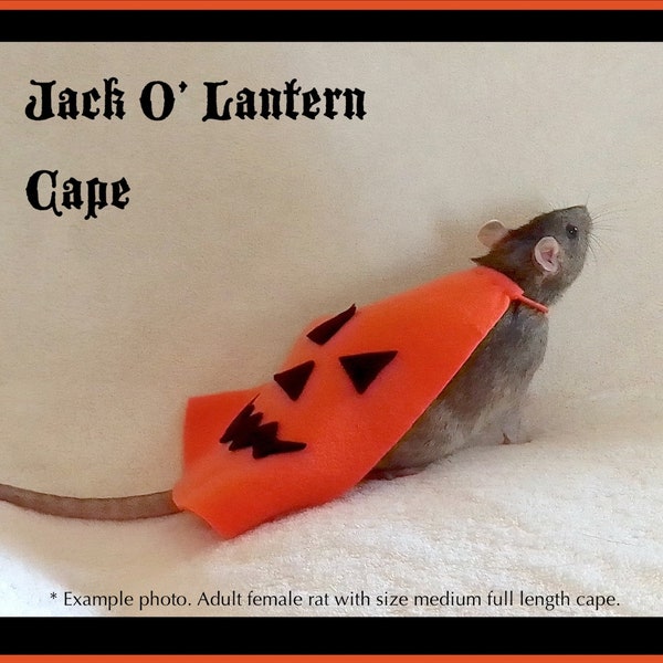 Jack O' Lantern Cape Costume for Pet Rats, Orange Cape with Black Classic Pumpkin Face, Available in Multiple Sizes, Halloween Dress Up Fun
