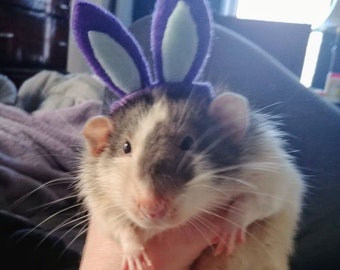 ペットのネズミ用ウサギの耳（サイズ：M、8～10cm）イースターの