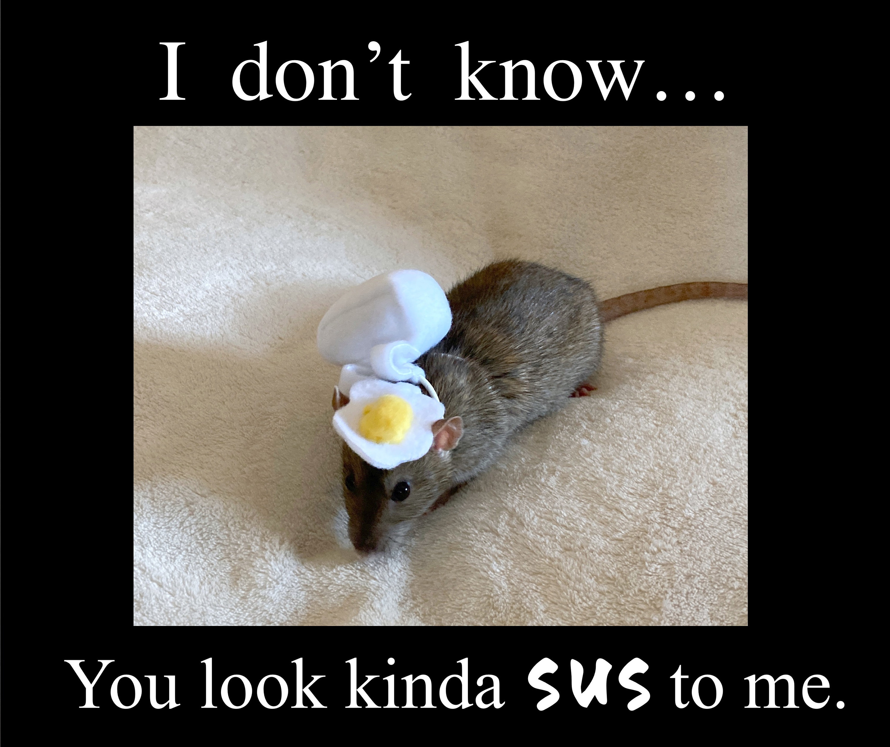Egg Hat is Among Us, Cute Rat Costume with White Egg Hat and White Backpack, Available in multiple Colors and sizes