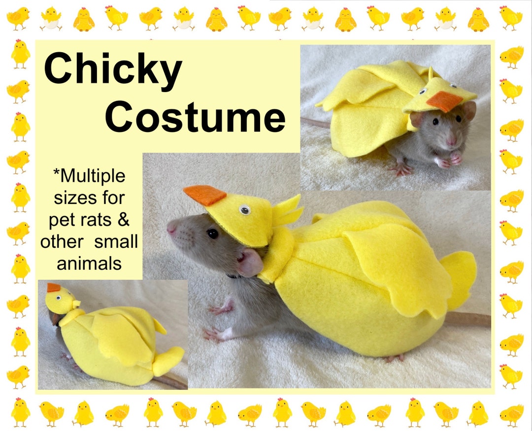 Chick baby Bird Costume for Pet Rats, Farm Friends Pet Costume, Rat