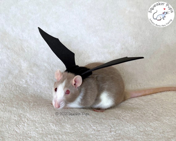 Bat Wings Rat Costume, Halloween Pet Costume for Rats