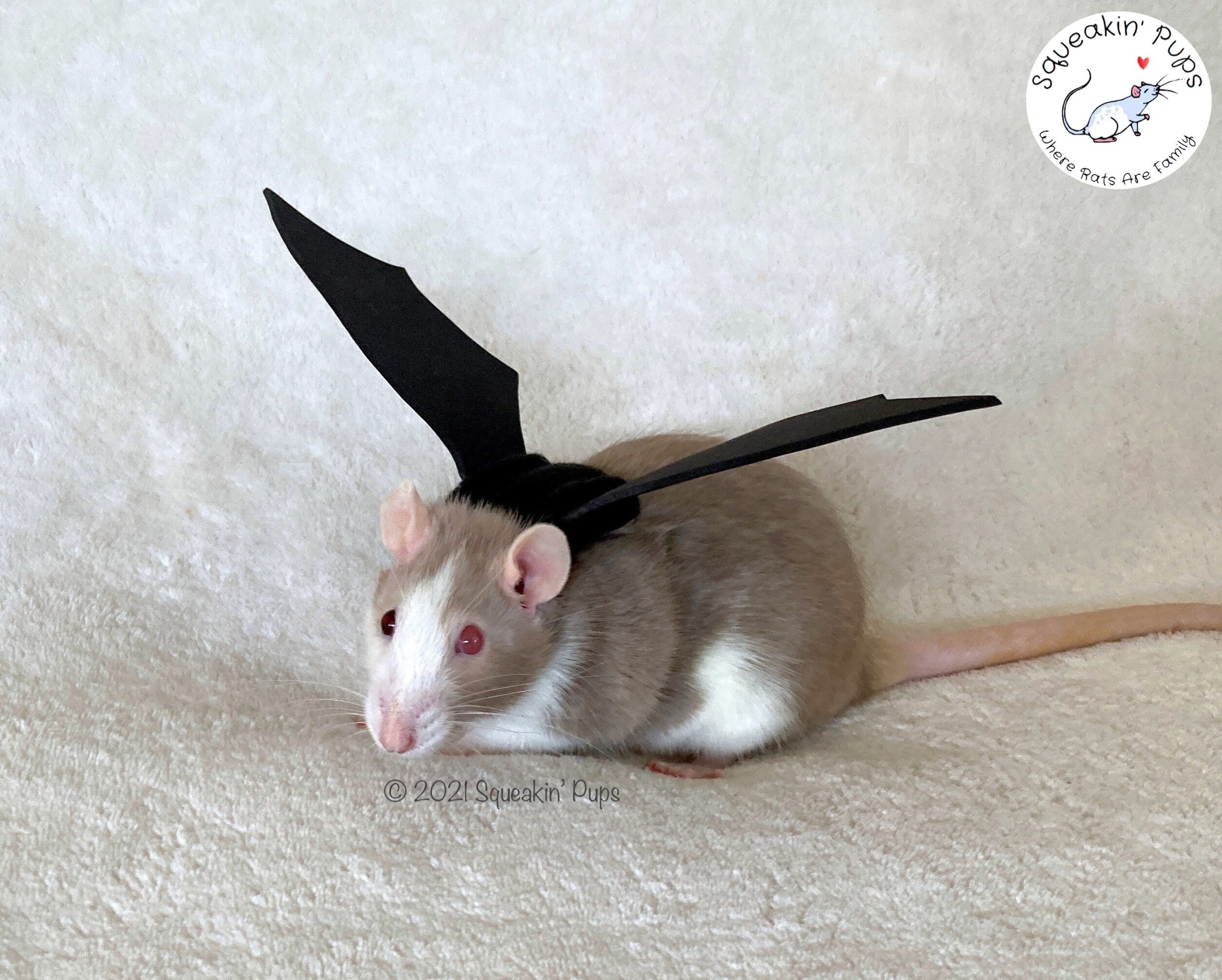 Bat Wings Rat Costume Halloween Pet Costume for Rats Etsy Australia