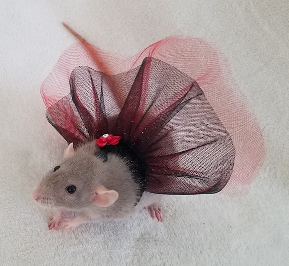 Mini Jupe Rat Baby Taille L - Pastel, Chauves-souris Et Lune - Style Punk Rock