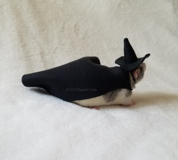 Cute Mini Pet Hat Cap Headdress Halloween Witch Hat Accessories for Small  Animals Bunny Chinchilla Hamster Cosplay Clothing