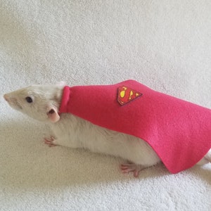 Könnte beinhalten: Eine weiße Ratte trägt einen roten Umhang mit einem gelben Superman-Logo. Die Ratte schaut nach links aus dem Bild.