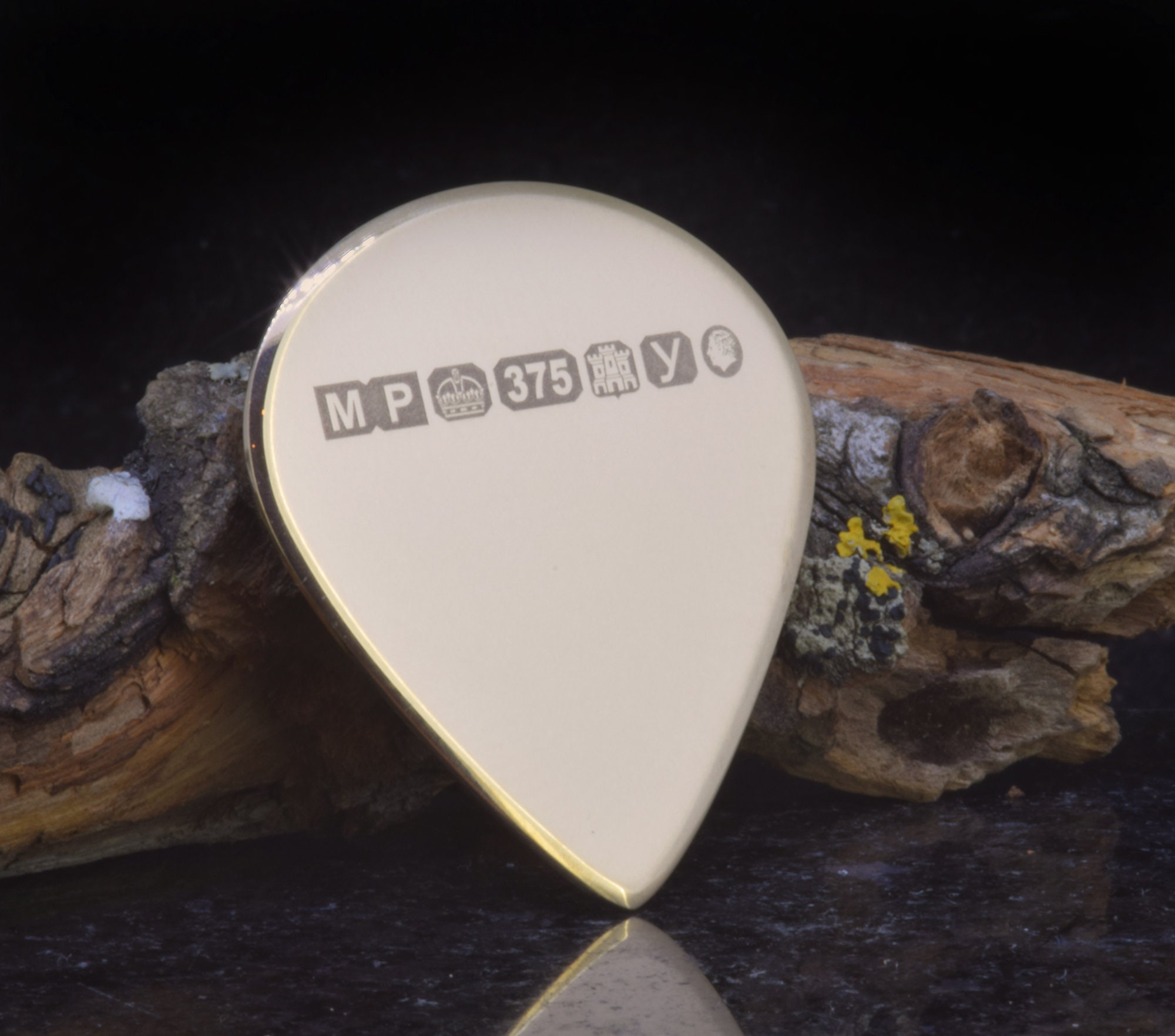Platinum shop guitar pick