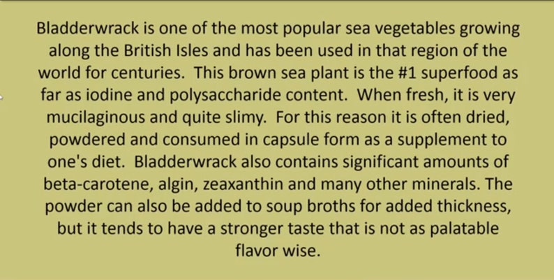Bladderwrack seaweed dry whole Fucus vesiculosus, black tang, rockweed, bladder fucus, sea oak, cut weed, dyers fucus image 5