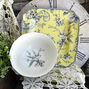 ADELAIDE GUL/ 2-DELARS SET