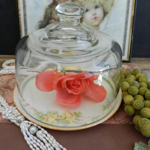 SHABBY CHIC ANTIQUE CL0CHE & PLATe/Limoges FRANCe/1920