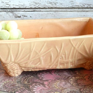 May include: A peach-coloured ceramic planter with embossed grass and pinecone designs. The rectangular planter sits on a patterned book, with faux grapes and coral nearby. The planter has a rectangular shape and is elevated by small feet.