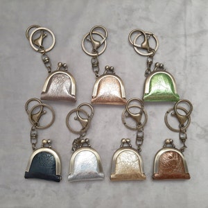 DuPont Mini Kiss Lock, sac à main, porte-clés, collier, étui pour carte mémoire SD lavable, porte-clés de couleur métallique avec étui pour bouchons d'oreilles à fermoir mousqueton