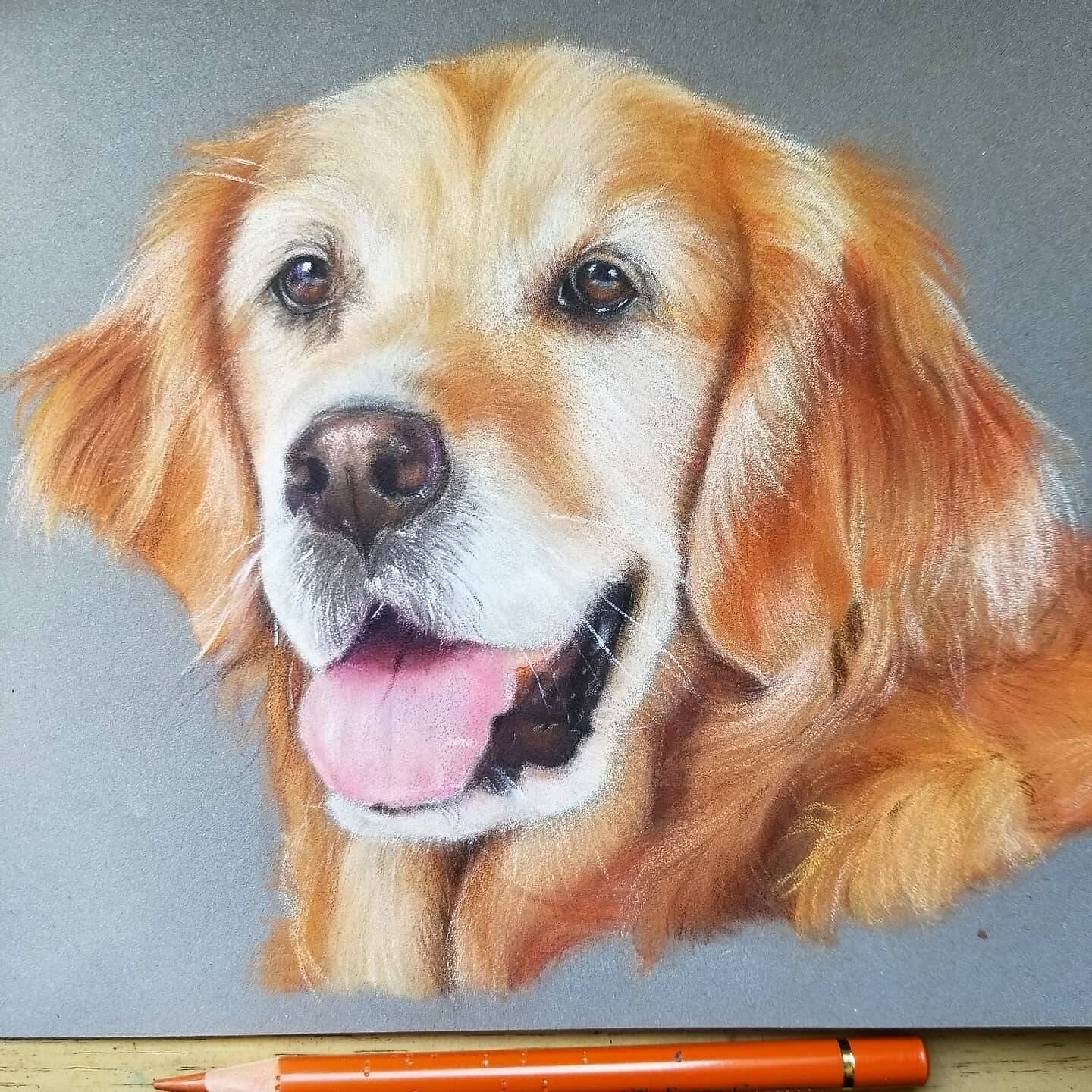 Custom Color Pencils Pet Portrait Hand Made from your own Etsy