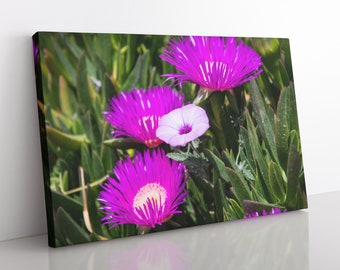 Greek Wildflowers Canvas | Botanical Print, Cottage Decor, Greece Photography, Girls Room Decor, Purple Flowers Art