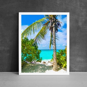 Palm Tree Print, Beach Photography, Tropical Beach Print, Modern Beach Decor, Aqua Art Print