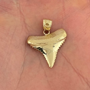 14k Gold Shark Tooth Pendant Nautical Charm