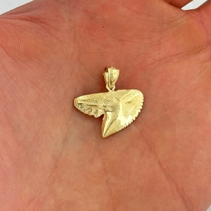 14k Gold Shark Tooth Pendant Nautical Charm