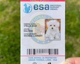 Pet Id Card Etsy