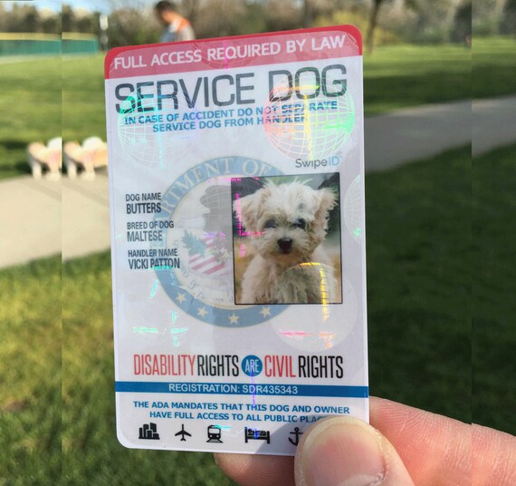 service dog collar tag
