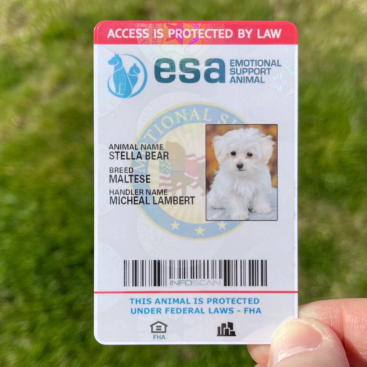 service dog id