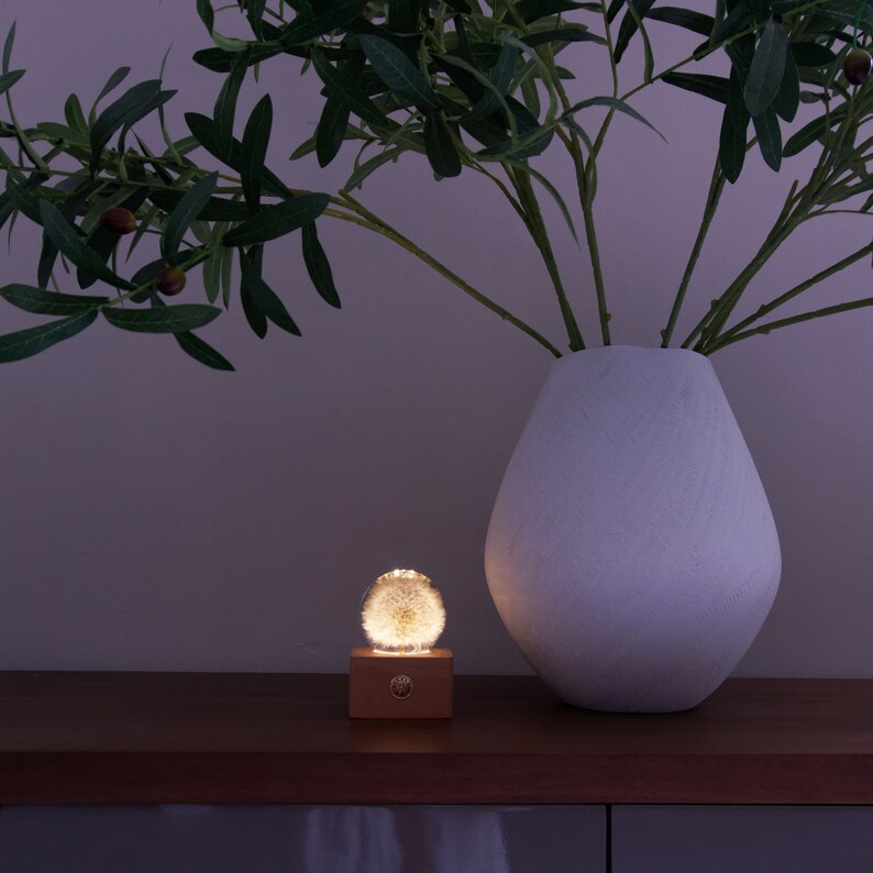 Dandelion Resin Night Lamp Touch Control Night Light Real Etsy