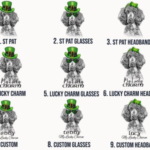Pu&ograve; includere: Nove diversi design di un barboncino bianco e nero che indossa vari accessori a tema San Patrizio. Gli accessori includono un cappello verde, occhiali verdi e una fascia verde. Il testo "My Lucky Charm" appare su alcuni dei design.