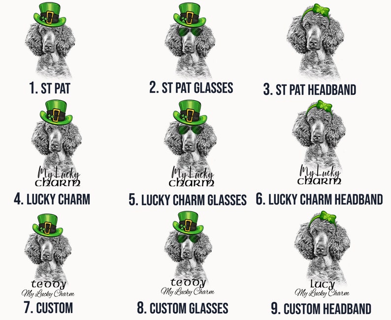 Pu&ograve; includere: Nove diversi design di un barboncino bianco e nero che indossa vari accessori a tema San Patrizio. Gli accessori includono un cappello verde, occhiali verdi e una fascia verde. Il testo "My Lucky Charm" appare su alcuni dei design.