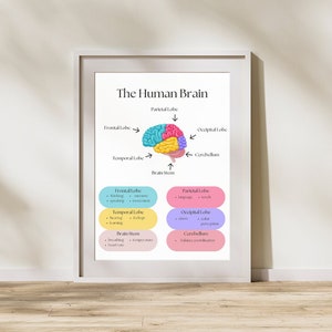 Brain Anatomy Poster Print Psychology Wall Art School Psychologist Decor Mental Health Prints Therapy Office School Counselling Printables