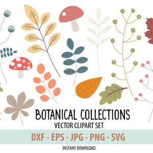 Botanische Sammlungen SVG Verschiedene Blätter Clipart&#39;s