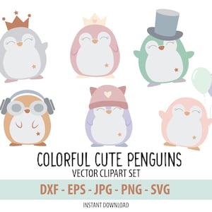 Cute Colorful Penguin Clipart -  Penguins Digital Instant Download - Clipart Collections SVG