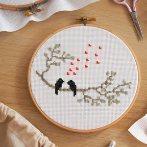 Love Birds Cross Stitch Kit - Craft Gift for Beginners
