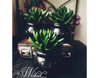 May include: Three black cauldron planters with green succulent plants. The cauldrons are stacked on top of each other. The text "The Wicked Oracle" is visible in the bottom left corner of the image.