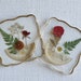 see more listings in the Fruit Coasters section