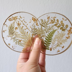 May include: Two clear, round coasters with gold rims, each featuring pressed ferns and gold leaf accents. The coasters are held up against a white background, showcasing the natural elements and elegant design.